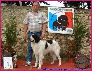 BOS LANDSEER